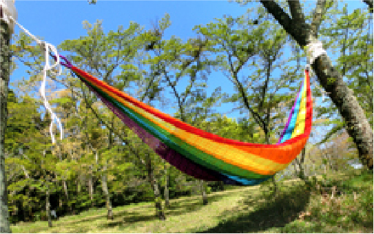 【step03】洗い終えたらいつものようにハンモックを設置して乾かします。